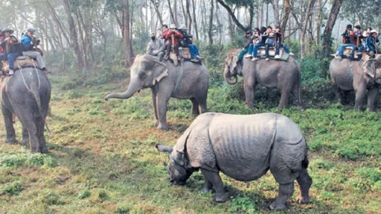 चितवन राष्ट्रिय निकुञ्ज आउने पर्यटक घटे